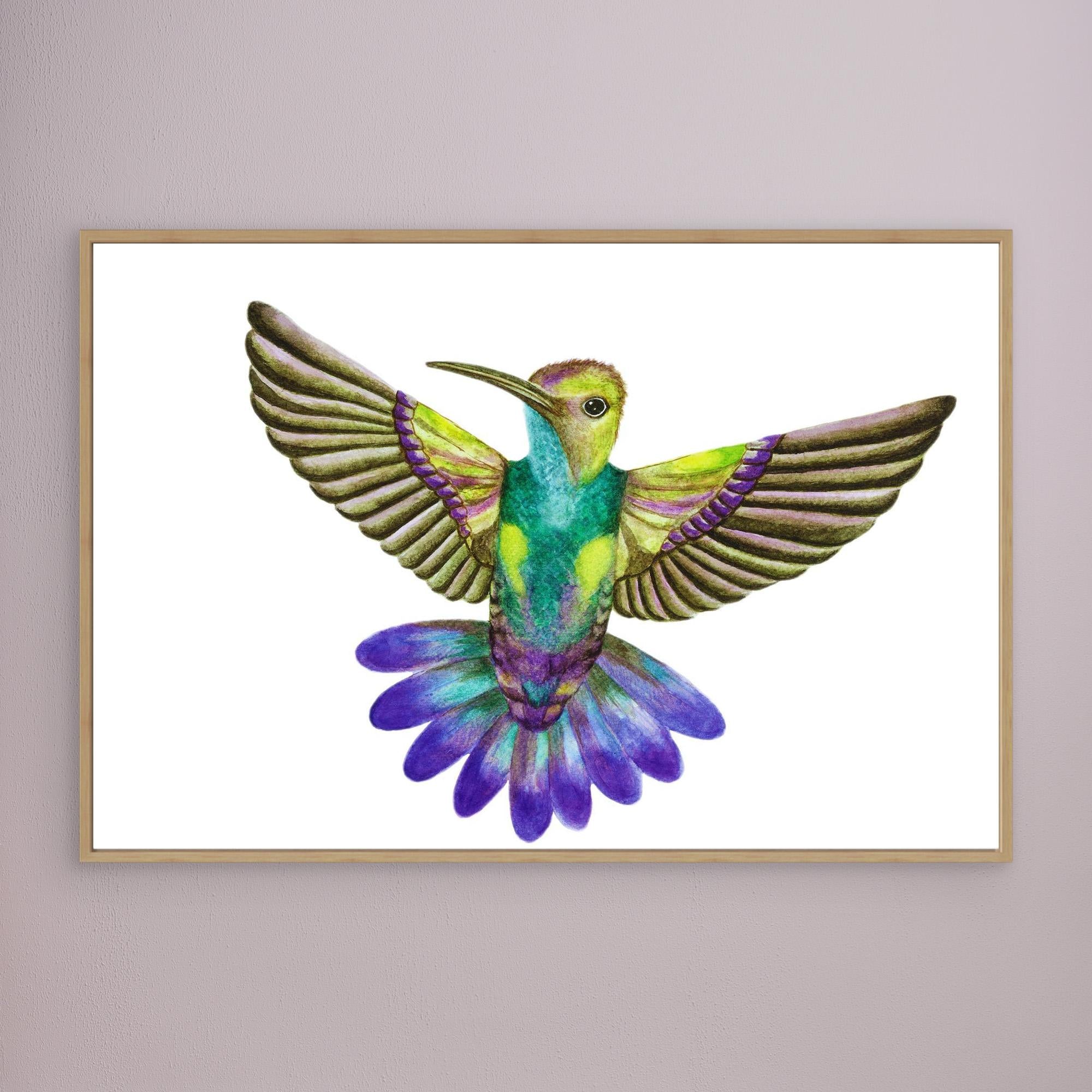 Colibri