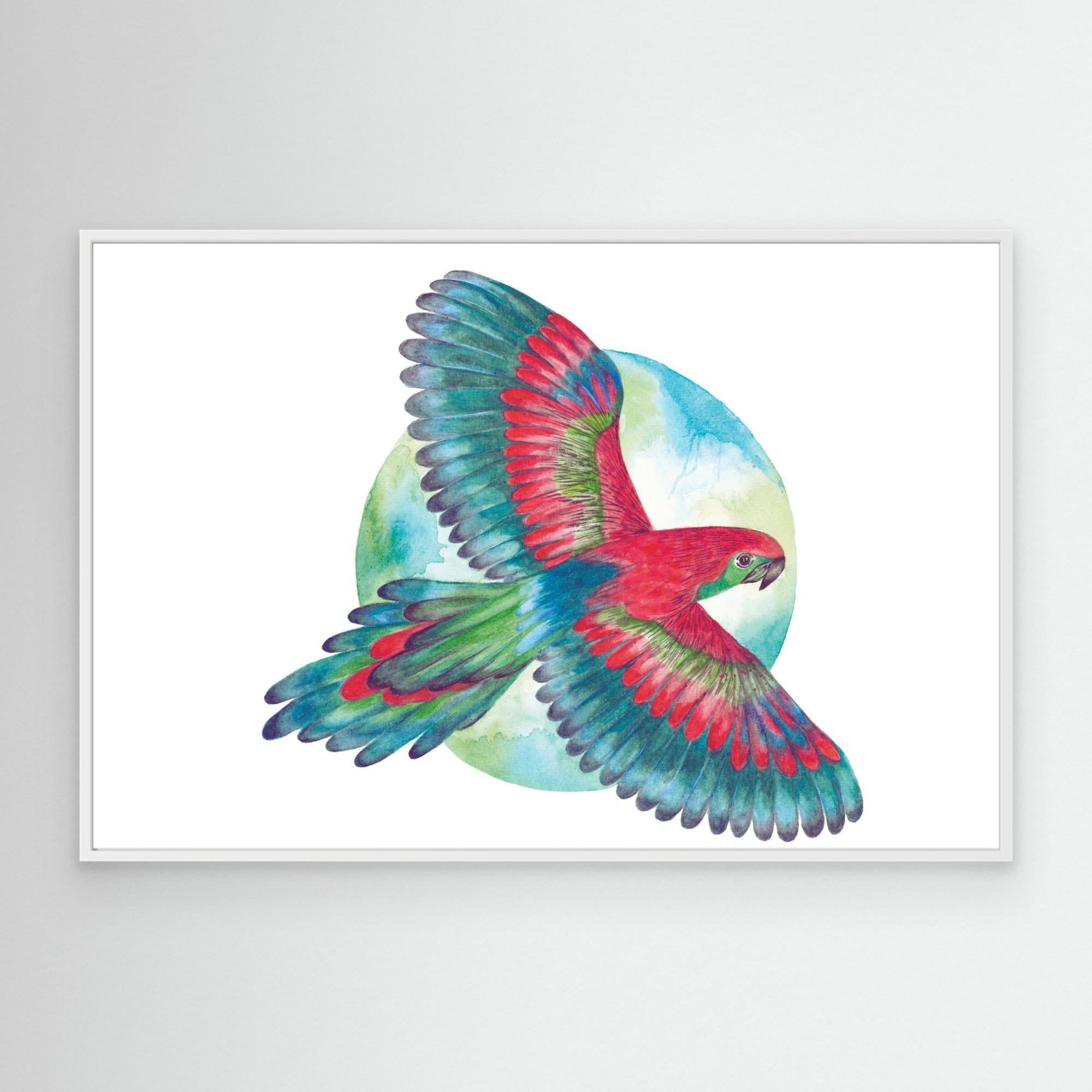 Moon Parrot