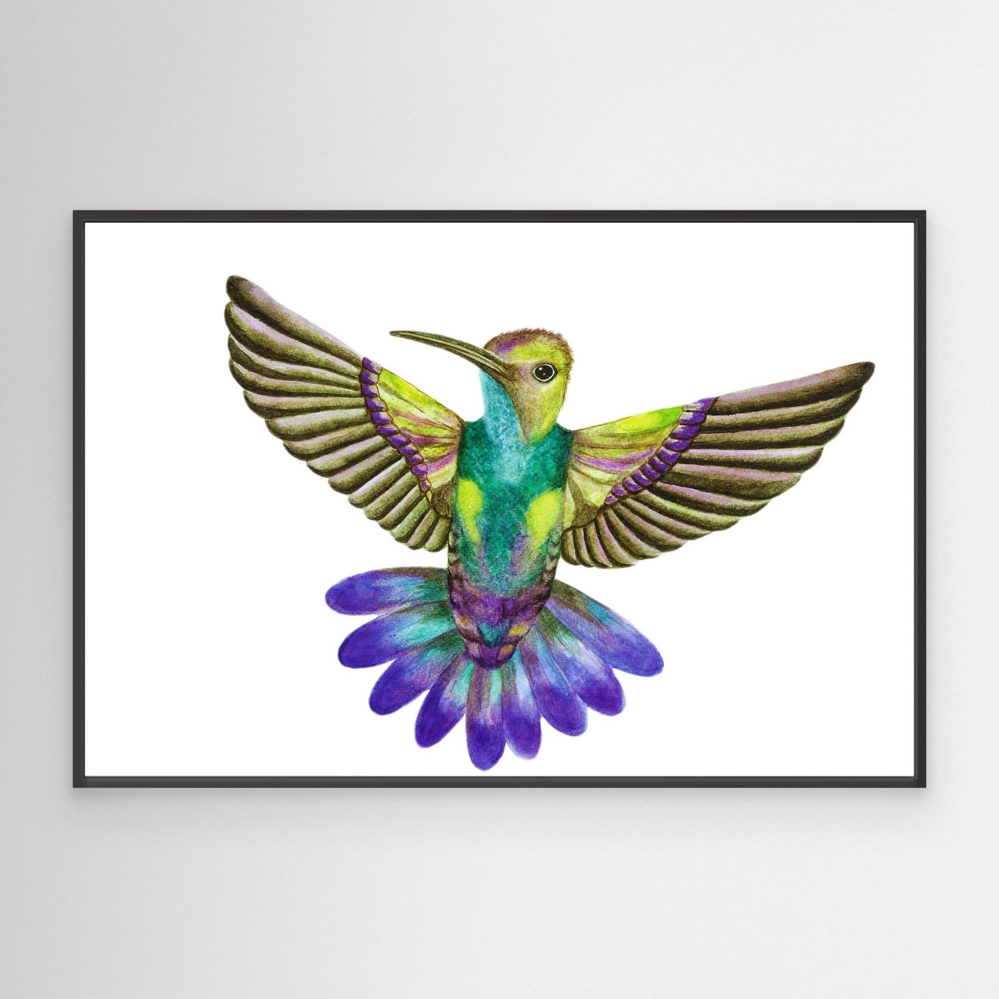 Colibri