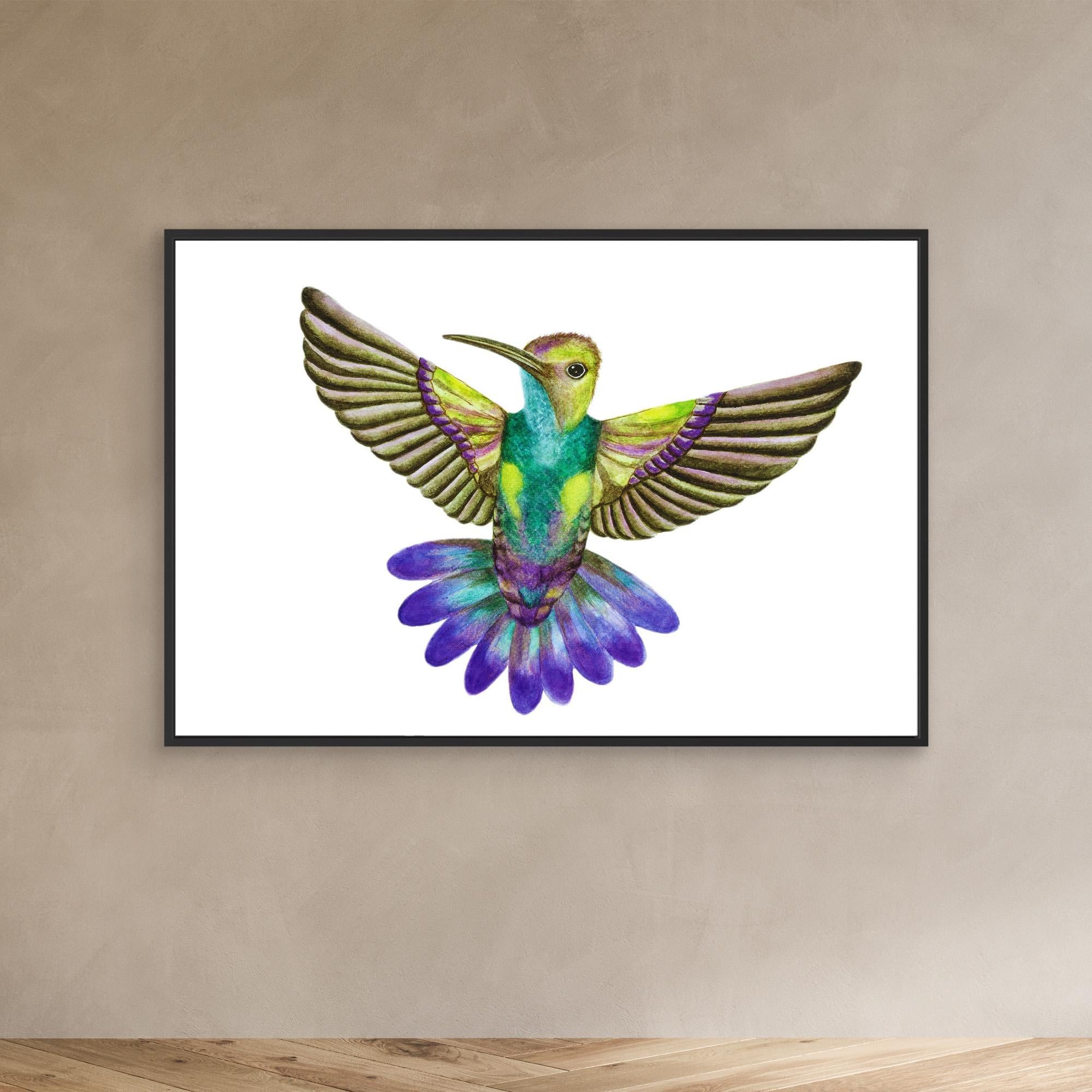 Colibri