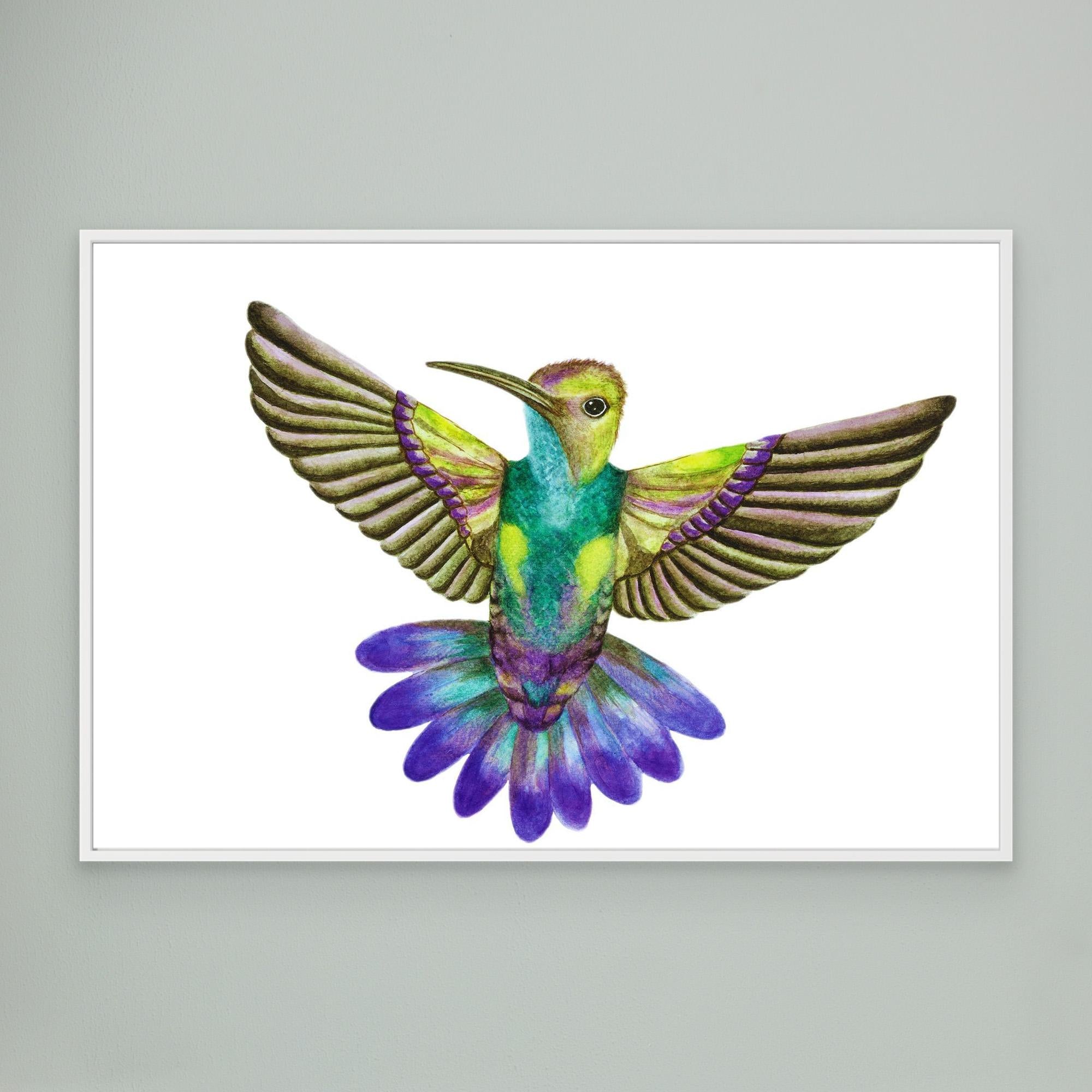 Colibri