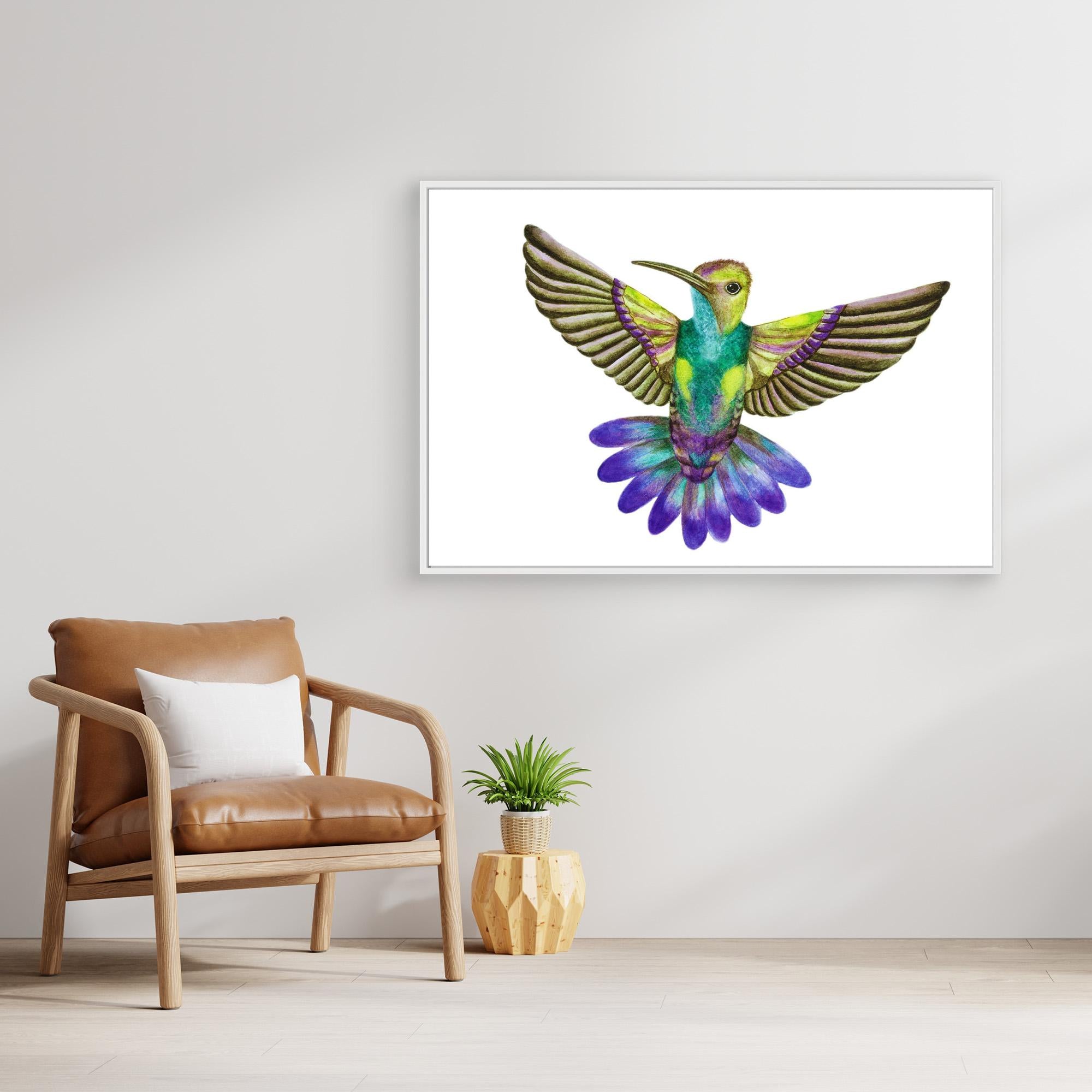 Colibri