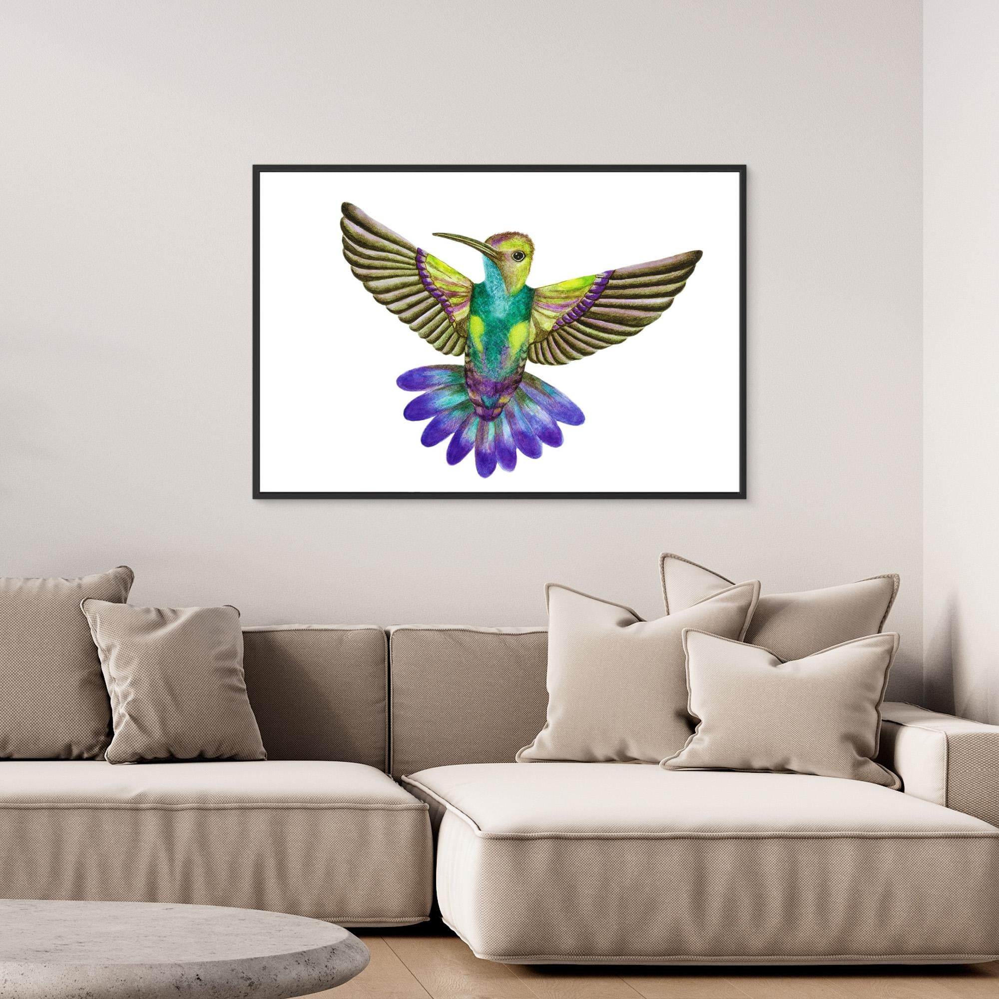 Colibri